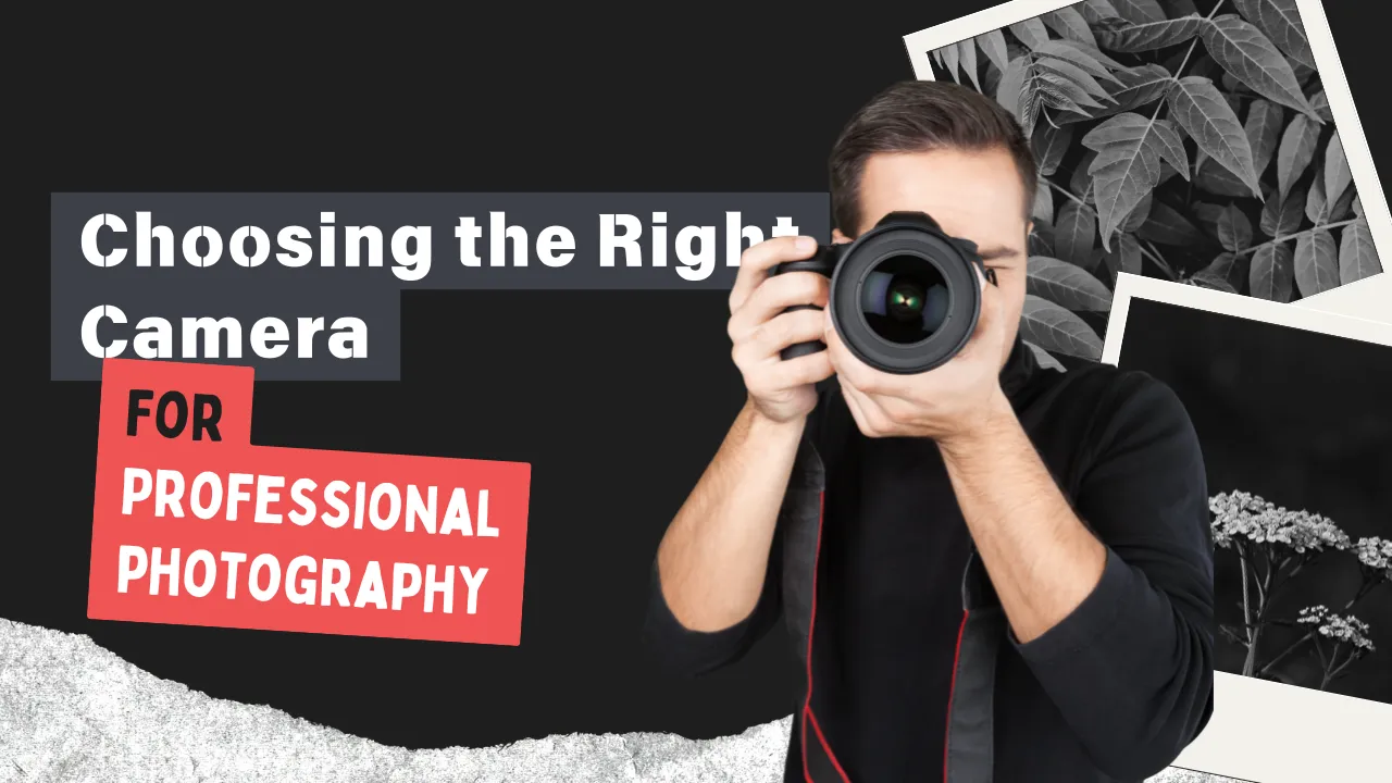 What Camera is Needed to Take Professional Photos - Tech Cloud Ltd