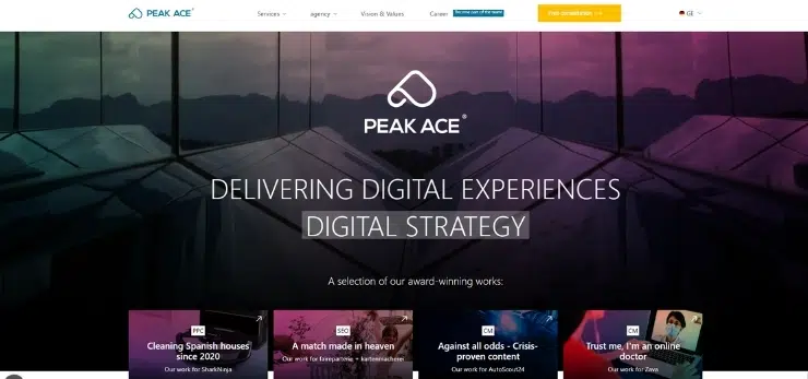 Peak-Ace-AG-SEO-Agency
